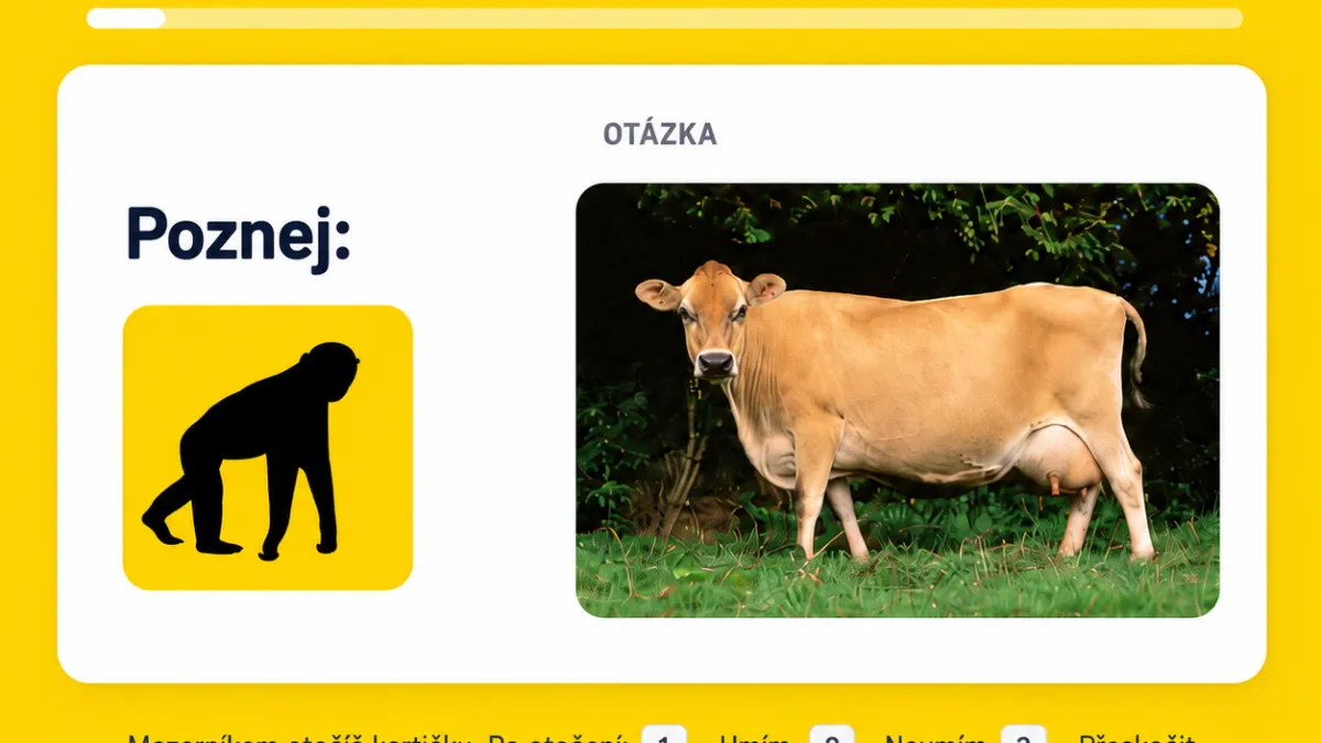 Otestuj se z kartiček na Primát.cz 🧠 (Kvízy & minitesty)